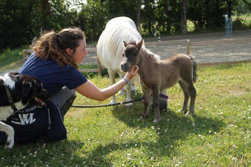 Gite Equestre Dans Centre Equestre Vers Saint Malo Plerguer Ngoại thất bức ảnh